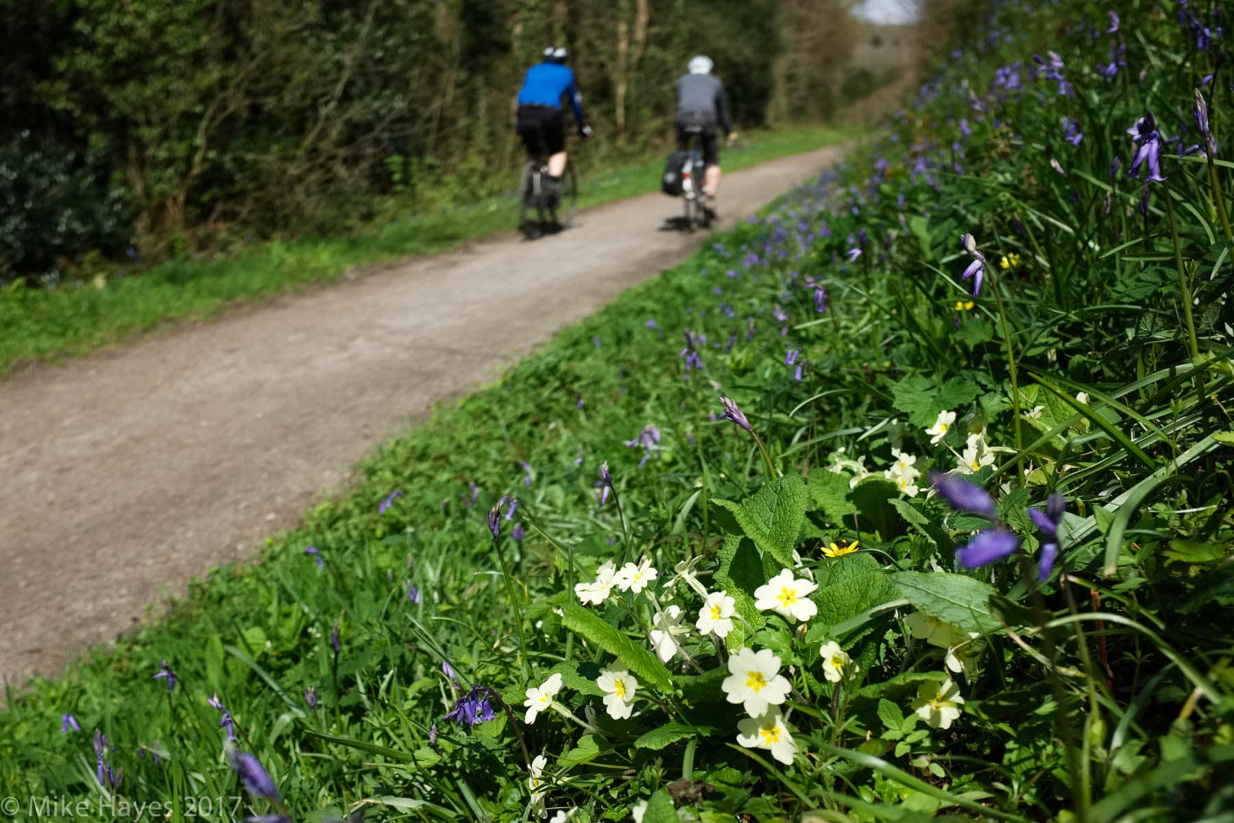 Cornwall cycling trails
